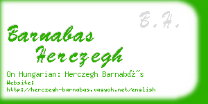 barnabas herczegh business card